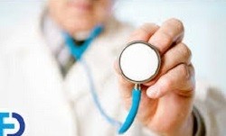 Підрозділи