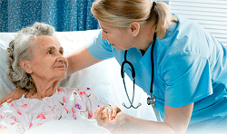 Підрозділи